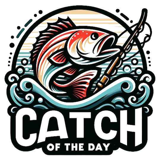 Hookline Deals Store